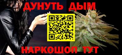 гидра Нальчик