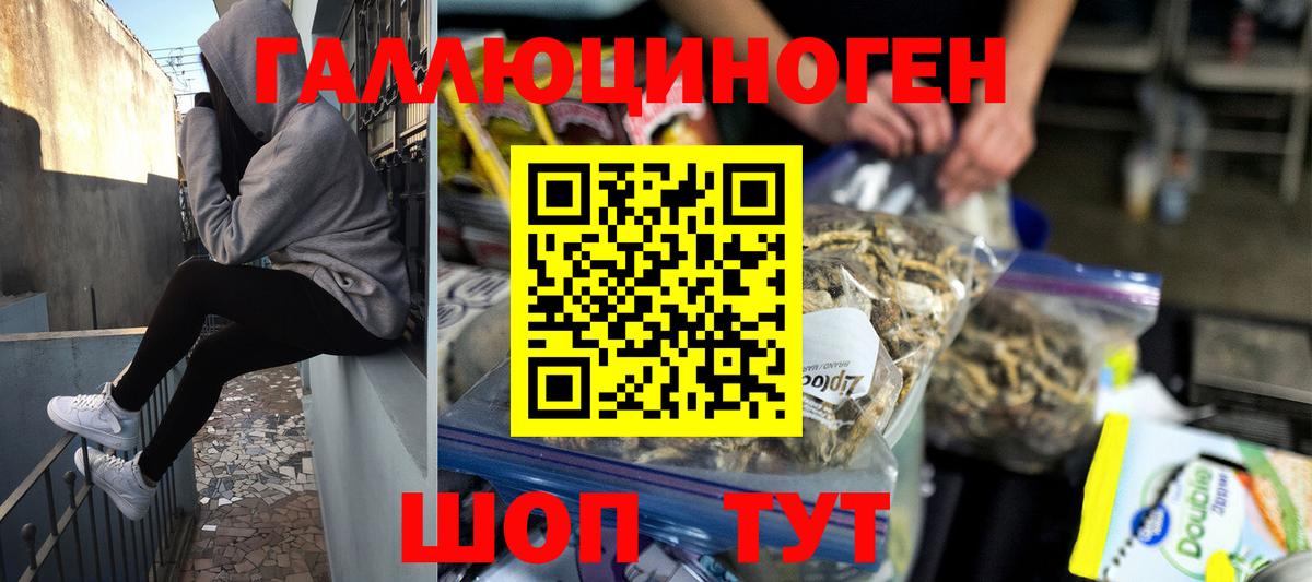 Псилоцибиновые грибы Psilocybine cubensis  Вход с VPN  Черкесск 